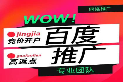 行业领先企业的SEM广告策略与效果分析